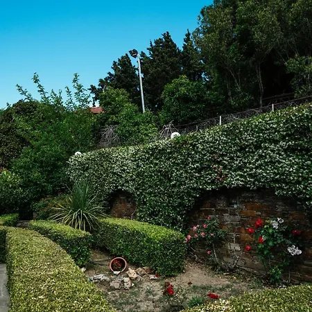 Villa Castello